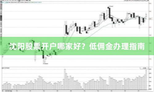 沈阳股票开户哪家好？低佣金办理指南