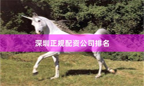 深圳正规配资公司排名