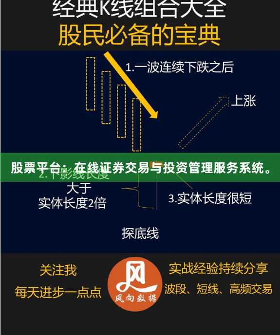 股票平台：在线证券交易与投资管理服务系统。